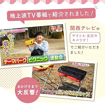 Amazon.co.jp: nicopura TWISUTO Pro 折りたたみチェア